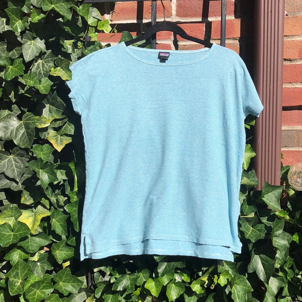 Patagonia Organic Cotton T-Shirt (xs)